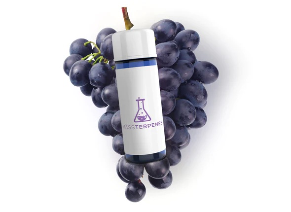 A bottle of Granddaddy Purple Terpenes (1ml) with grapes on top of it.