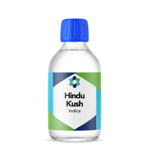 Hindu Kush Terpenes